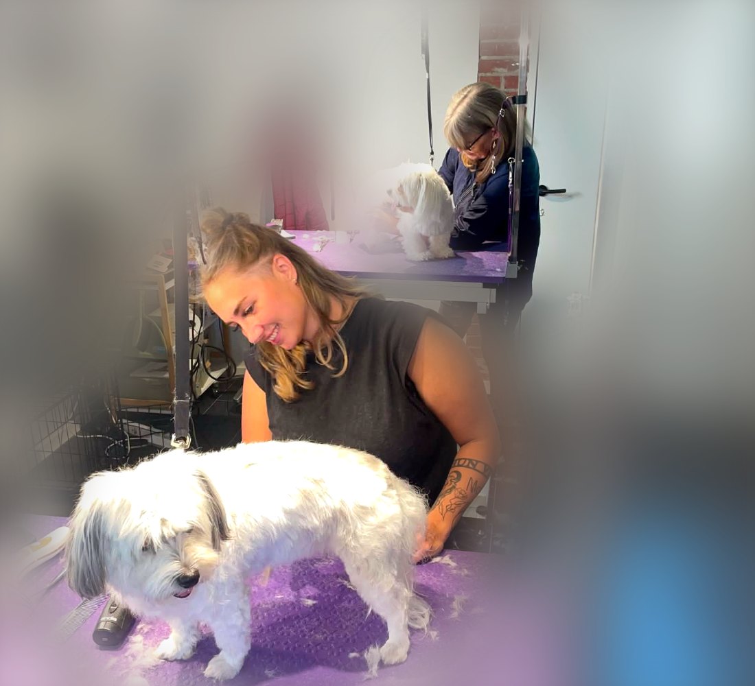 Skive Hundesalon - vores historie